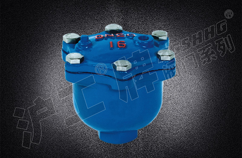 �Զ�������